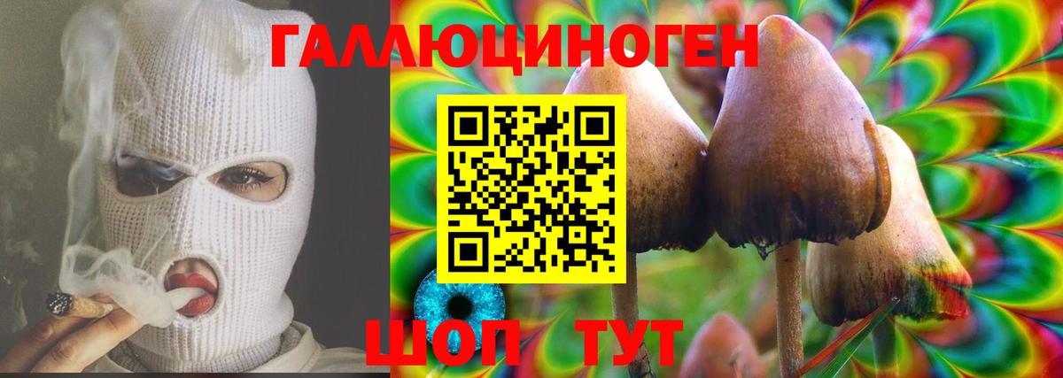 Луховицы  Псилоцибиновые грибы мухоморы  Вход с VPN 
